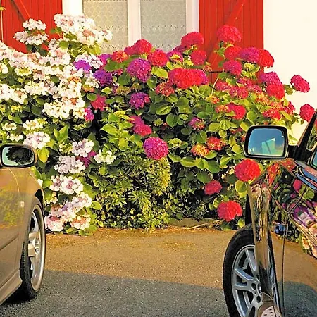 Bed & Breakfast D'hotes Garicoitz Saint-Jean-Pied-de-Port
